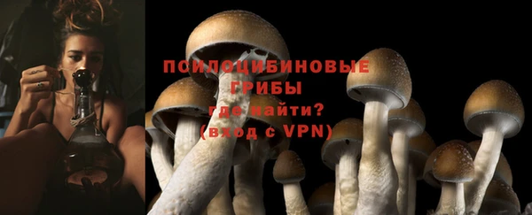 СК Алзамай