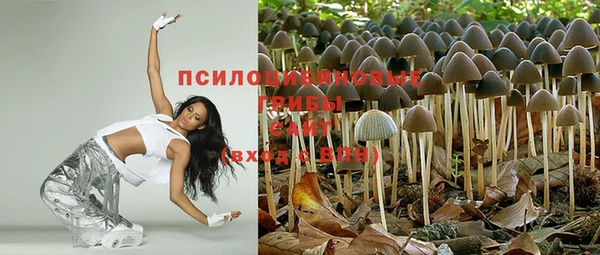 хмурый Алексеевка