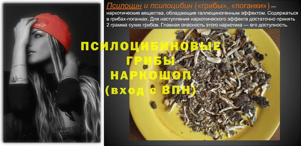 хмурый Алексеевка