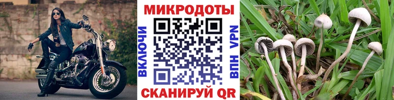 Галлюциногенные грибы мухоморы  магазин продажи   Мураши 